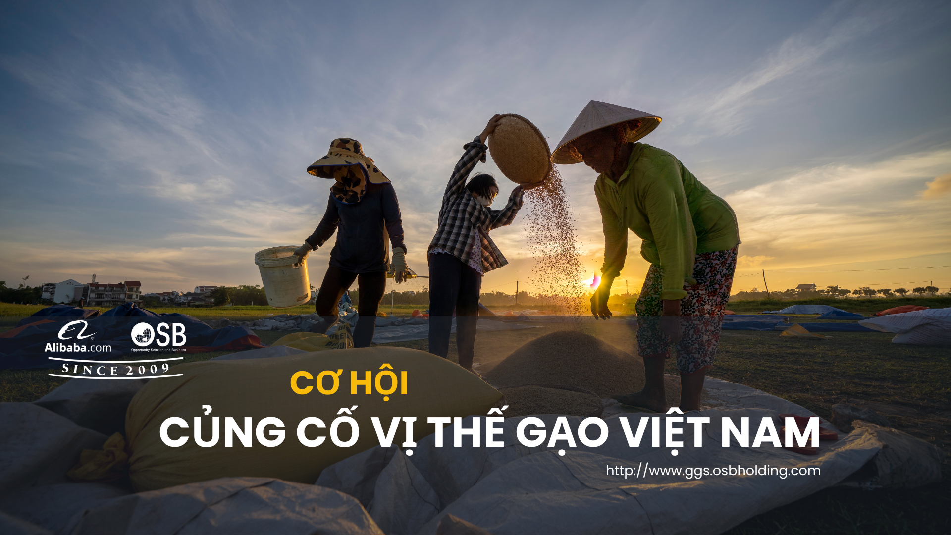 CƠ HỘI ĐỂ CỦNG CỐ VỊ THẾ GẠO VIỆT NAM